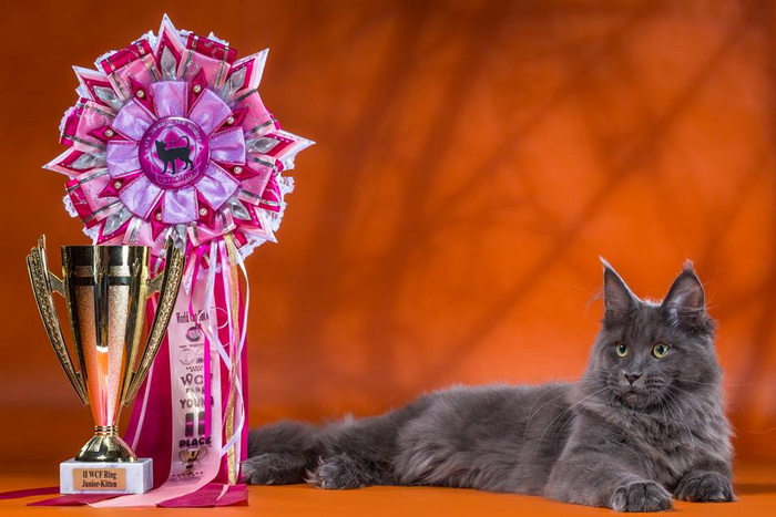 11049118_957082501026339_4157487944692667684_n 11049118_957082501026339_4157487944692667684_n