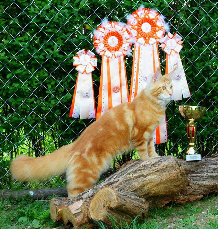 13423769_1010488309028458_94003842735812745_n 13423769_1010488309028458_94003842735812745_n