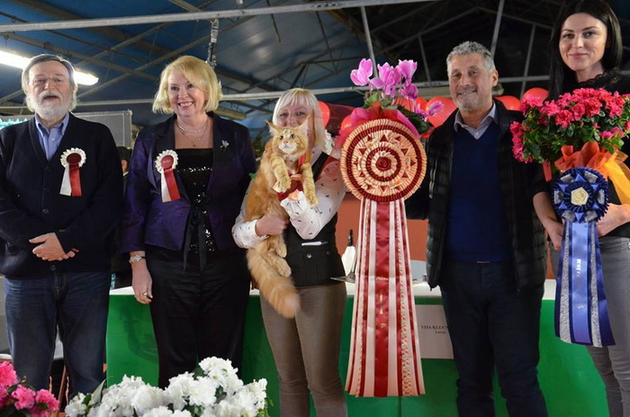 13434738_1010489329028356_5541767450060759617_n 13434738_1010489329028356_5541767450060759617_n