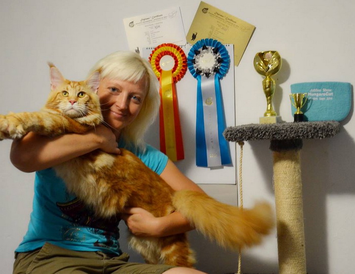 14329896_1078155135595108_6245772665426653220_n 14329896_1078155135595108_6245772665426653220_n