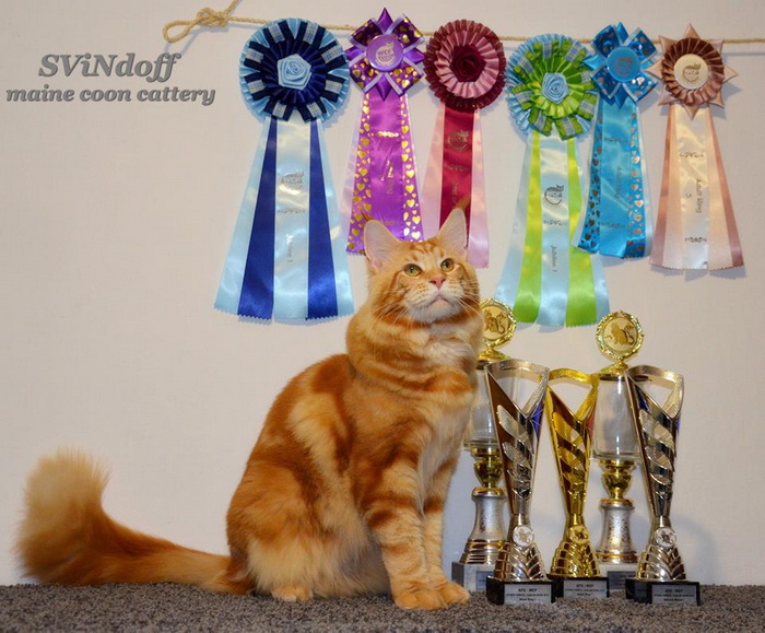 14650445_1104839886259966_1552438692868156711_n 14650445_1104839886259966_1552438692868156711_n