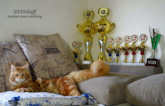 15055870_1134525683291386_8554010680914987378_n 15055870_1134525683291386_8554010680914987378_n