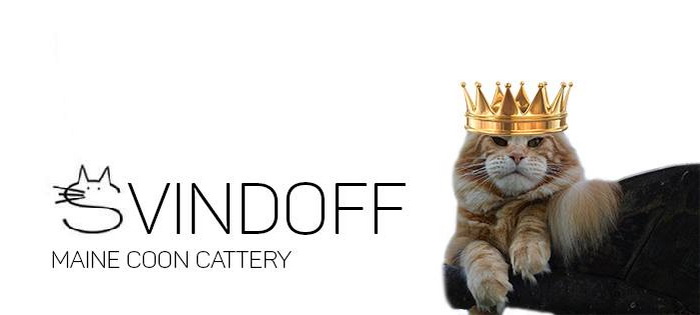 16807555_1229320627145224_8143942873257917833_n 16807555_1229320627145224_8143942873257917833_n