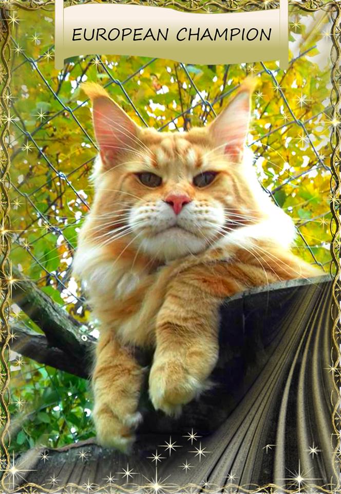 26814911_1551251988285418_6865142049182916790_n 26814911_1551251988285418_6865142049182916790_n