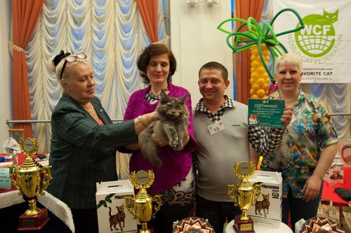 ie7P8W3qFA0 ie7P8W3qFA0