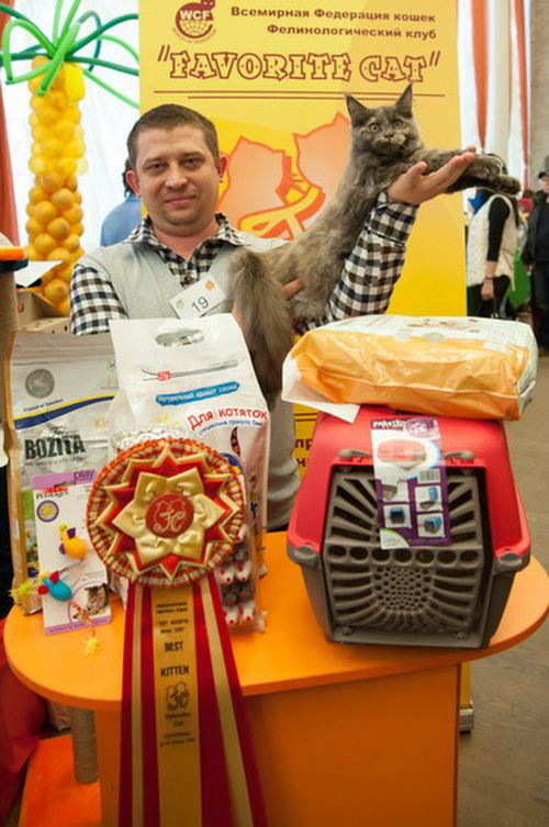 zcu_chhY0Ls zcu_chhY0Ls